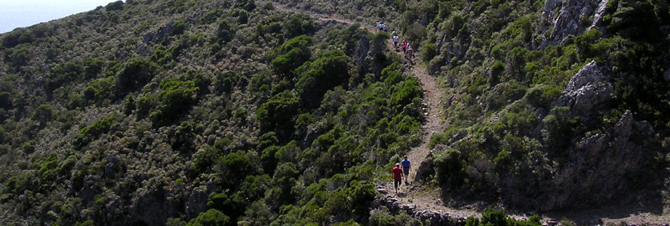 Isola di Citera – Guida di viaggio – Grecia