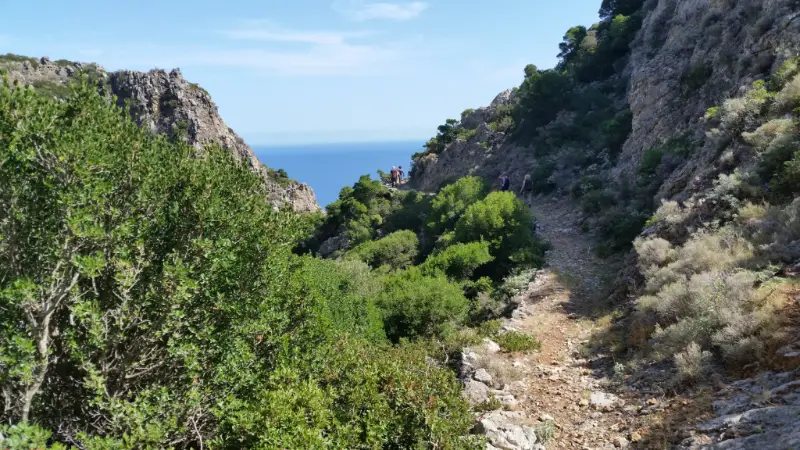 Sentiero escursionistico M37 M37 Sentiero escursionistico Diakofti Citera